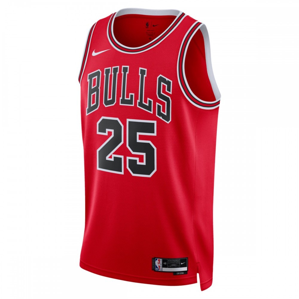 Dalen Terry Chicago Bulls Unisex 2022 NBA Draft First Round Pick Swingman Jersey - Icon Edition - Red-Pro Kit Vault | Brand New 26/27 Sports Jerseys
